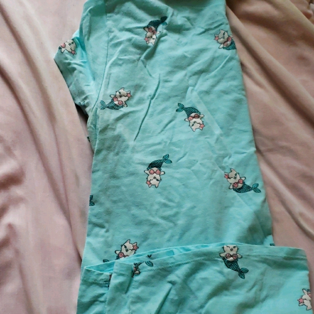 - Tee shirts